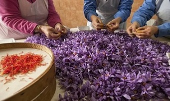 تصویر 1 از خرید و قیمت زعفران رستورانی اصل + فروش صادراتی